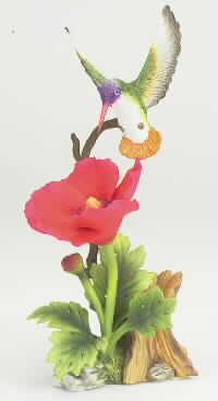 Hummingbird With Red Poppy